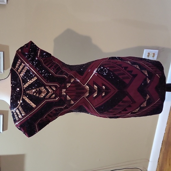 Express Dress - Picture 5 of 8